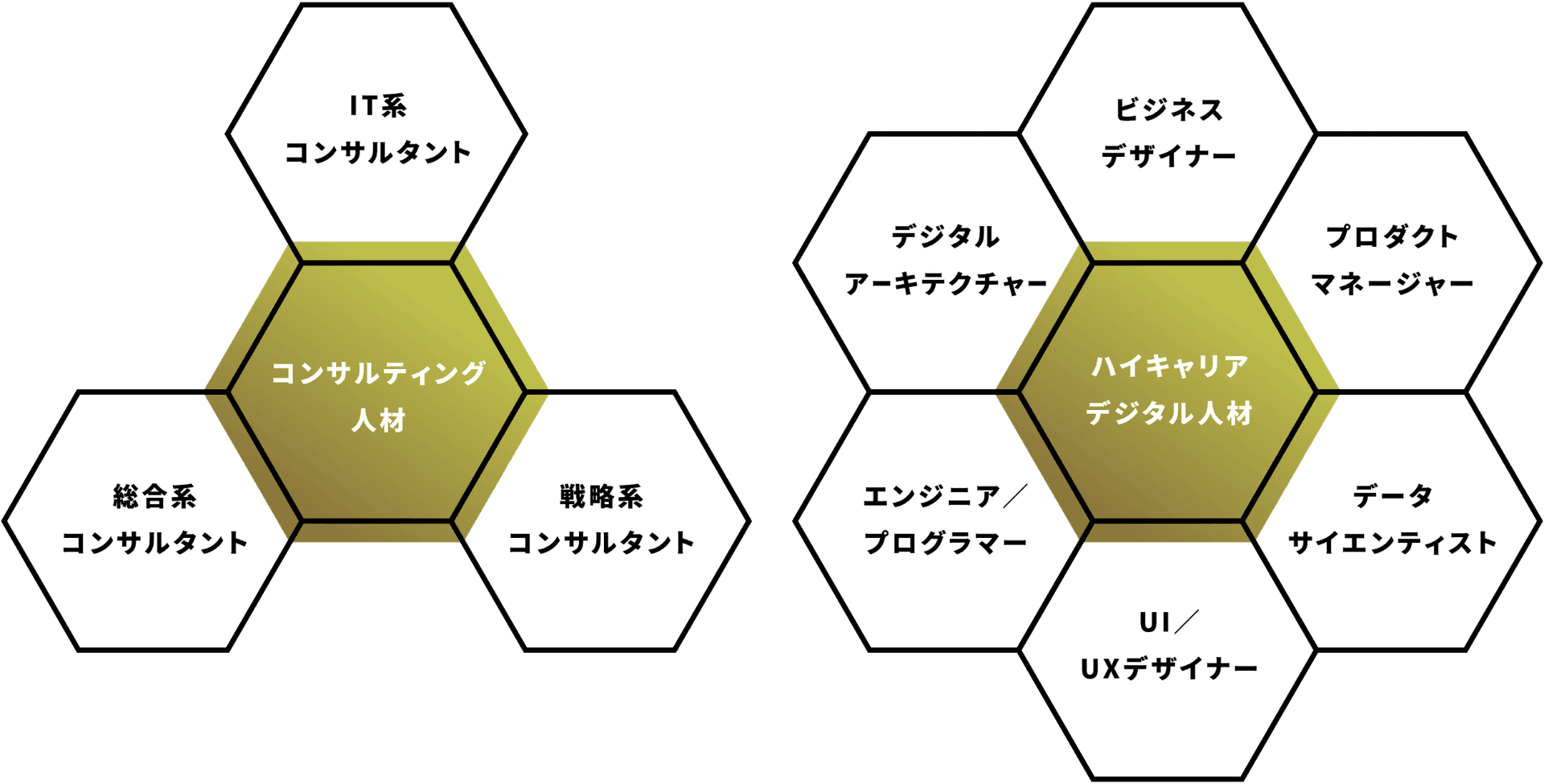 専門領域 イメージ画像