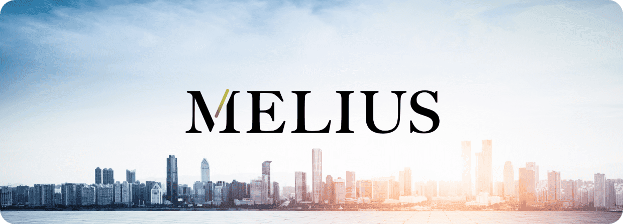 MELIUS Vision